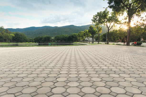 Professional Driveway Pavers in Dortches, NC